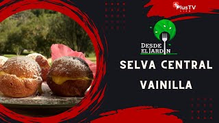 Desde el Jardín - Selva Central: Vainilla