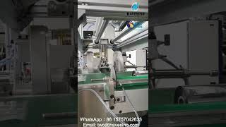 Candy Type Packing Machine