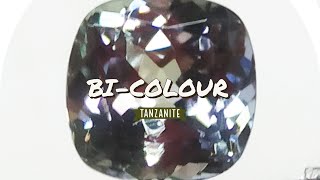 Stunning 1.43 Carat Bi-Color Tanzanite Cushion Cut Gemstone 6.5 MM