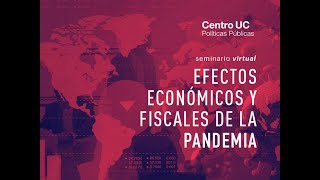 Seminario virtual Efectos económicos y fiscales de la pandemia