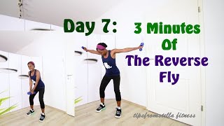 Day 7: 3 Minutes Of The Reverse Fly