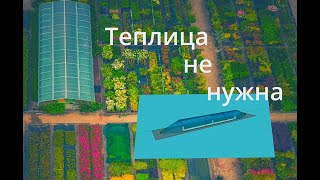 Теплица не нужна