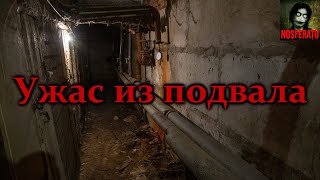 УЖАС ИЗ ПОДВАЛА. Страшные истории на ночь. Страшилки на ночь