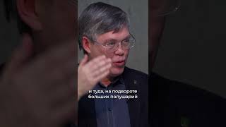 Зoны удoвольствия у женщин и мужчин. Вячеслав Дубынин