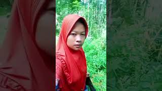 berkebun metik rebung... #dailyminivlog #aktivitasku #adayinmylife #vlog #minivlog