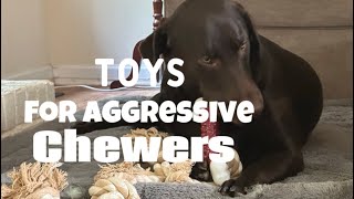 We found the best dog toys for aggressive chewers