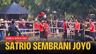 Ganti Pawang, Kalapan Caplokan Bandilan Makin Gan4s, SATRIO SEMBRANI JOYO live BAMBOO MEWEK PARK 2