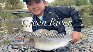 Green River Salmon Fishing for the first time in Washington ワシントン州で仕事後にサーモン釣り 10/5/2023