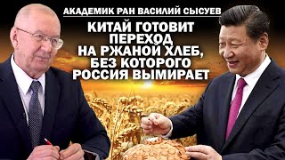 В. Сысуев, академик РАН. Китай переходит на ржаной хлеб. Без него Россия начала вымирать / #ЗАУГЛОМ