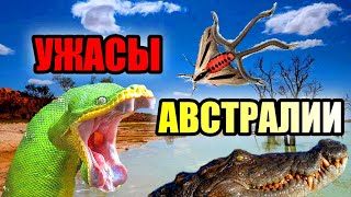 УЖАСЫ АВСТРАЛИИ!!! Самые жуткие создания Австралии!!! #река