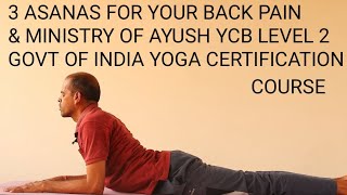 3 PRONE  ASANAS FOR YCB LEVEL2MINISTRY OF AYUSH GOVT OF INDIA CERTIFICATION|SWAMI VIVEKANANDA YOGA