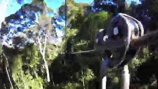 My daughter does a Canopy Tour on a zip line