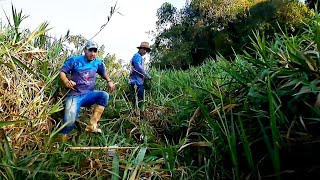 NEN EU ACREDITO QUE PEGAMOS TANTOS PEIXES NESSE LUGAR/ PESCARIA DE BARRANCO COM VARA DE BAMBU.