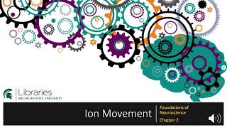 Chapter 2 - Ion Movement