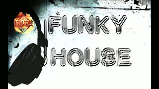 🔥 Funky House Music 2024 🔥