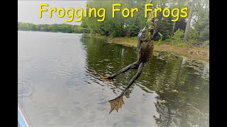 Frogging For GIANT Frogs (Nuv Qav)