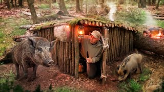 Building a secret survival shelter under the root of a fallen tree. Bushcraft. Survival. Outdoors