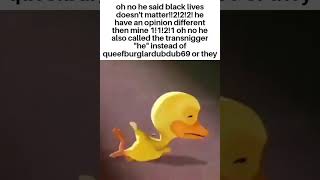 this is some duck crying meme that i found on discord