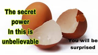 Use eggshell to destroy family curse and badspells/curses -only few people know this.