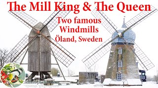 The Mill King & The Queen : Famous Windmills on Öland Sweden