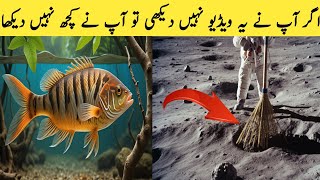 Top 5 amazing random facts in hindi | interesting facts in urdu Hindi | New Facts in Hindi urdu