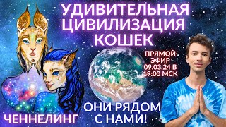 🌎🧘‍♂️ РАЗУМНЫЕ КОШКИ ИНОПЛАНЕТЯНЕ СУЩЕСТВУЮТ! ДРЕВНИЙ ЕГИПЕТ ЛИРИАНЦЫ БАСТЕД ЧЕННЕЛИНГ ФИДРЯ ЮРИЙ