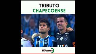 o dia que a tragédia da chapecoense emocionou o Brasil e o mundo