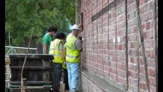 Surveying Buildings for Bats