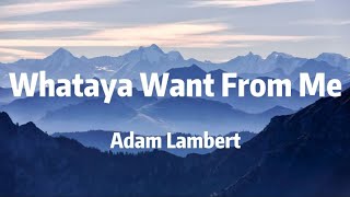 Whataya want from me - Adam Lambert