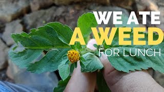 We ate a "Weed" (sapsapon) for Lunch - Tadian, Mountain Province  [VLOG E15]