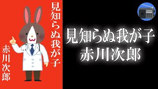 【朗読】「見知らぬ我が子」この子は、あなたの子です！ 人気作家の元に現れた突然の訪問者！？【ミステリー・サスペンス／赤川次郎】