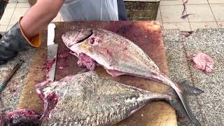 Big Fish Cut।। What The Big Fish Cutting!!!!