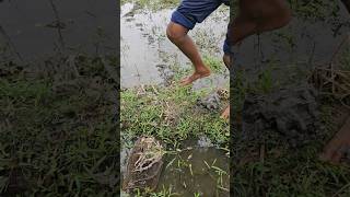 Real chai fishing|fishing lover|#fishing