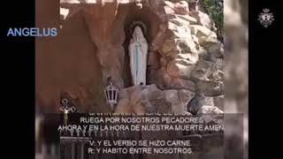 12 hs Angelus Martes 1 de octubre 2024