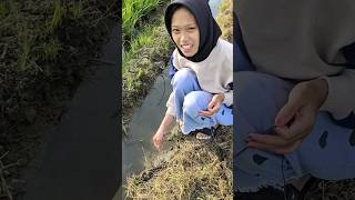 CEWEK CANTIK MANCING BELUT‼️ #194 #MainanAyu #mancingbelut