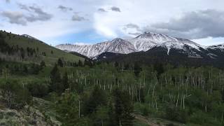 Exploring An Old Montana Silver Mine