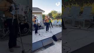 Pícame Tarántula - Los Cachorros de Juan Villarreal (Cover) #shorts