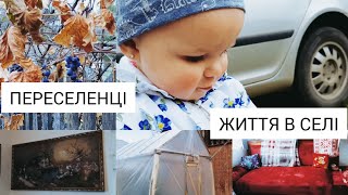 ПЕРЕСЕЛЕНЦІ. Облаштовуємо залу. ТЕПЛИЧКА. НАЛИСНИКИ З НАЧІНКОЮ.