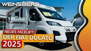 WEINSBERG CaraCompact [EDITION] PEPPER 600 MF auf dem neuen FIAT DUCATO 2025, Wohnmobil ROOMTOUR