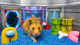 🐹 Hamster escapes the AIRSHIP AMONG US Maze! 😲 Real traps for hamster