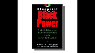 Blueprint for Black Power: Empowerment through Wealth Chapter 17