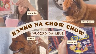 COMO DOU BANHO NA MINHA CHOW-CHOW EM CASA - VLOGÃO DA LELÊ | Hi Lelê