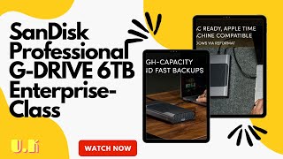 SanDisk Professional G-DRIVE 6TB Enterprise-Class Desktop Hard Drive, up to 250MB/s USB-C (5Gbps)