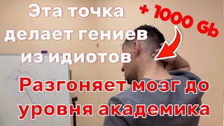 Эта точка разгоняет мозг до уровня нобелевского лауреата.Если нажмешь ее станешь гением на один день