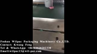 WP-HP2500 Horizontal packing machine