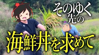 #5【稲刈り編】０から最強の海鮮丼を作ってみた【淡路島】