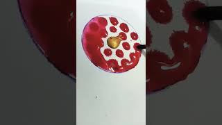 satisfying circle 🔴 #kanishkadrawing123 #video #shortvideo