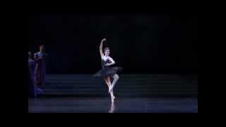 Agnes Letestu - Black Swan