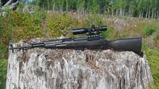 The Bubba SKS Project: Blackened SKS