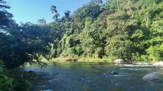 Río Palomino, montaña adentro, PNN Sierra Nevada de Santa Marta, Guajira, Colombia